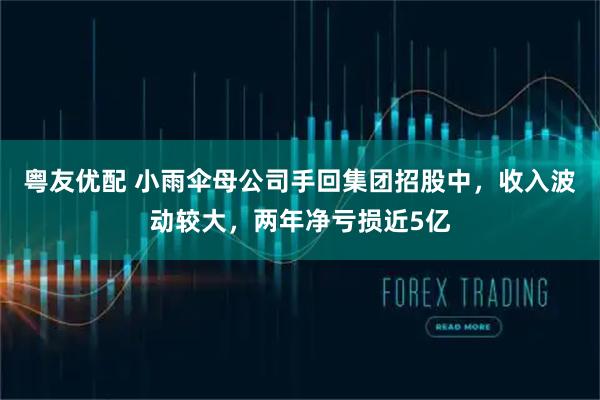 粤友优配 小雨伞母公司手回集团招股中，收入波动较大，两年净亏损近5亿