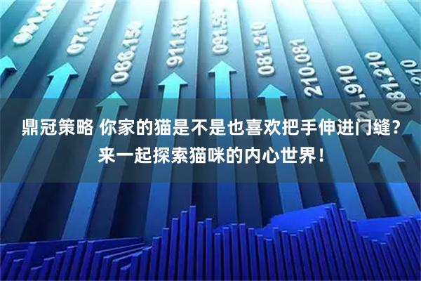 鼎冠策略 你家的猫是不是也喜欢把手伸进门缝？来一起探索猫咪的内心世界！