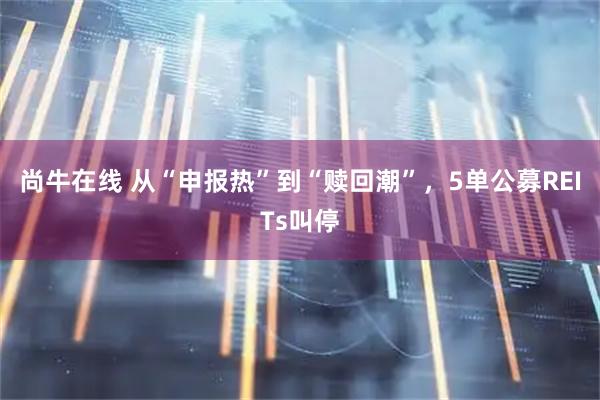 尚牛在线 从“申报热”到“赎回潮”，5单公募REITs叫停