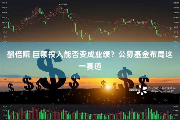 翻倍赚 巨额投入能否变成业绩？公募基金布局这一赛道