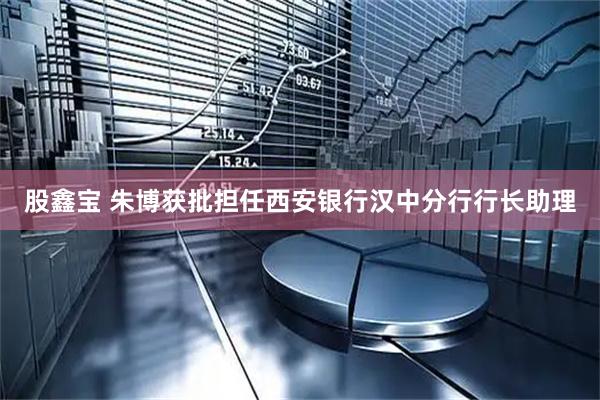 股鑫宝 朱博获批担任西安银行汉中分行行长助理