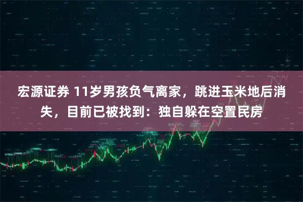 宏源证券 11岁男孩负气离家，跳进玉米地后消失，目前已被找到：独自躲在空置民房